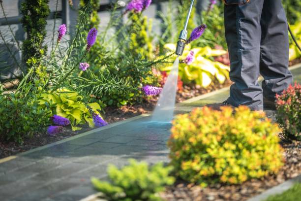 Best Fence Cleaning  in Cheat Lake, WV