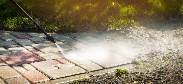 Best Roof Washing  in Cheat Lake, WV